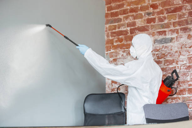 Best Asbestos and Lead Testing During Mold Inspection  in Lockland, OH