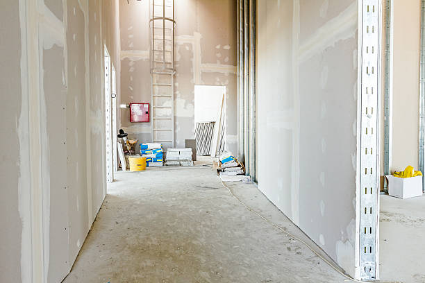 Professional Mold Removal in Lockland, OH